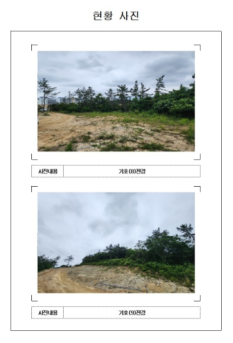 사진 11