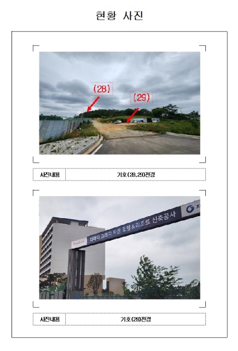 사진 19