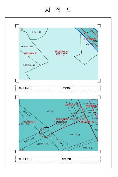 사진 3