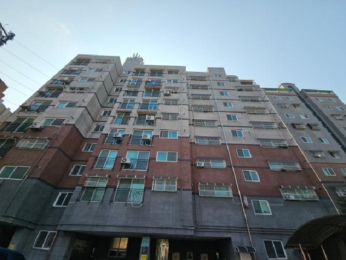 사진 2