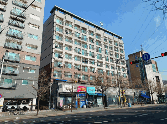 사진 9