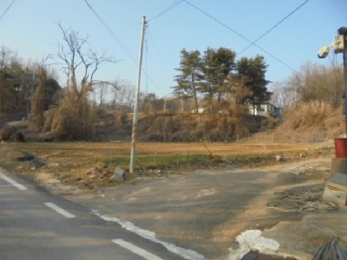 사진 8