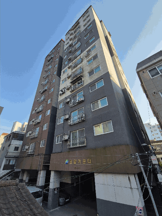 사진 10