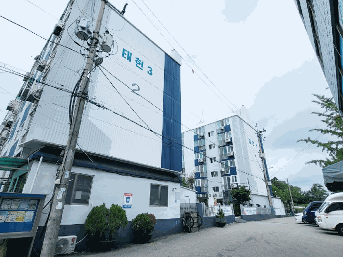 사진 3