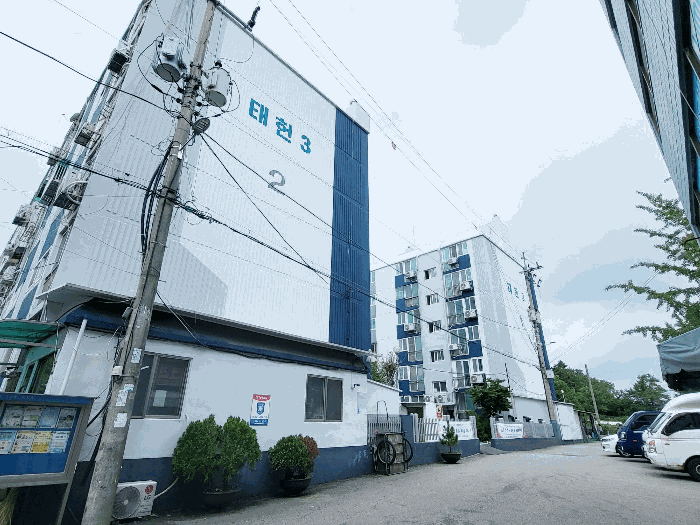 사진 5