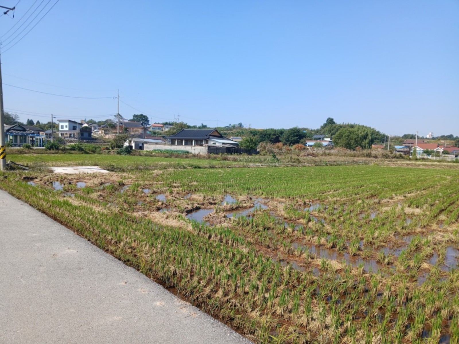 사진 1