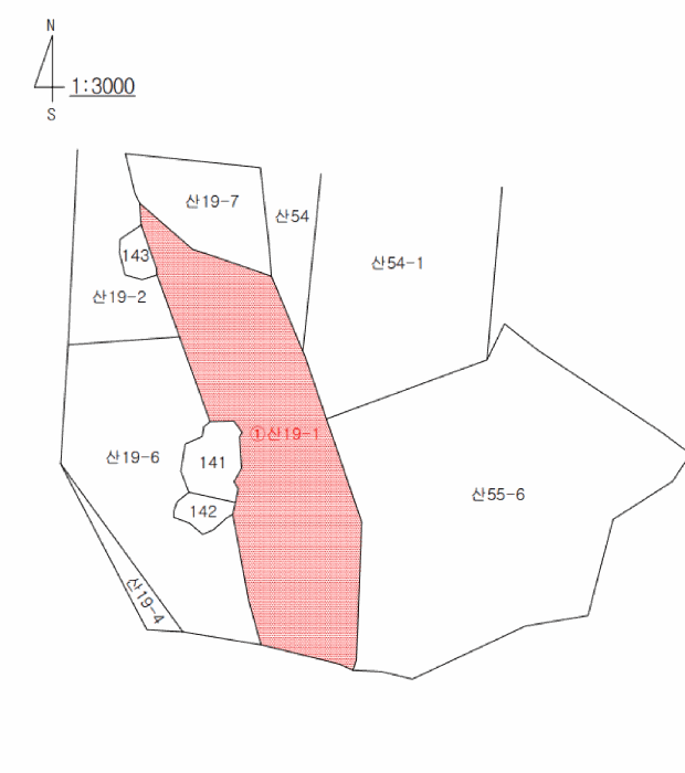 사진 5