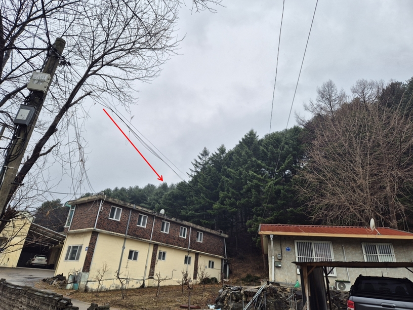 사진 1