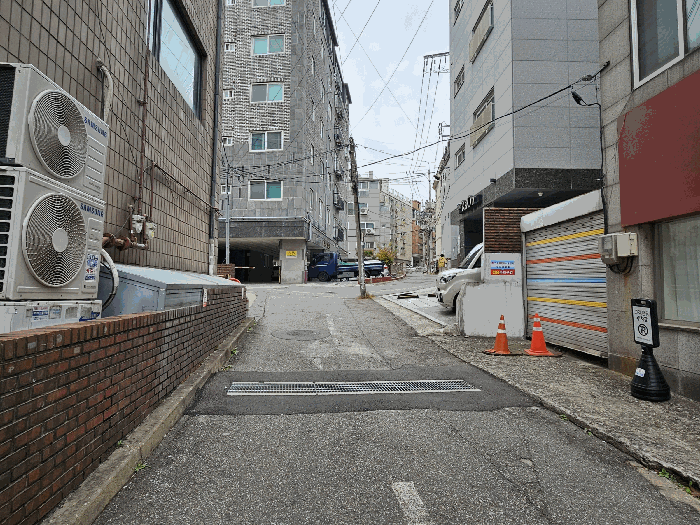 사진 11
