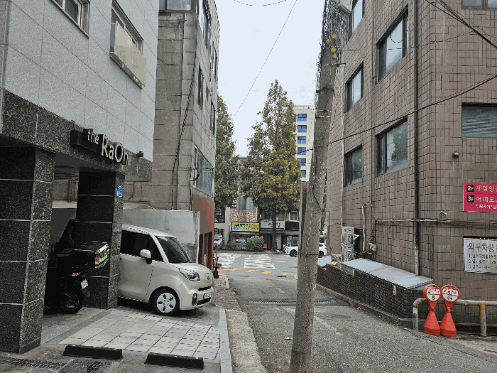 사진 15