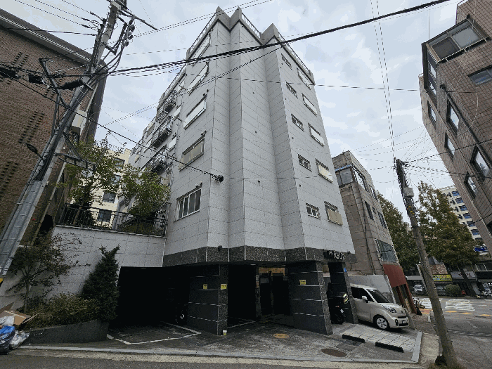 사진 5