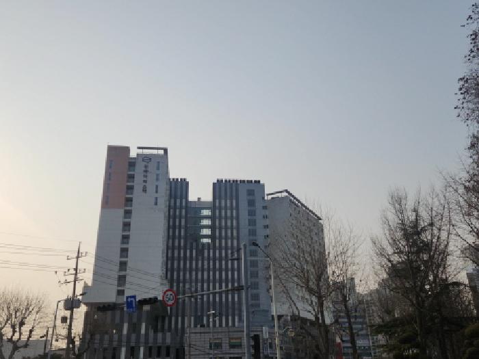사진 1