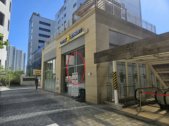 사진 5