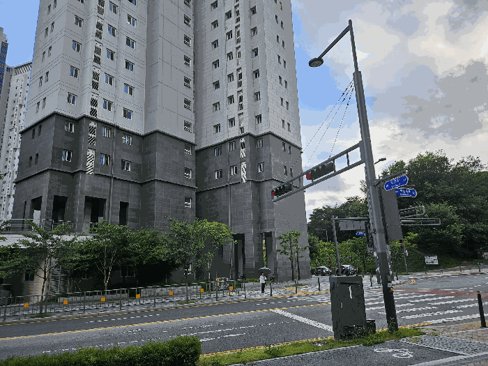 사진 11