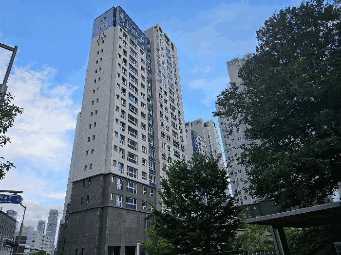 사진 7