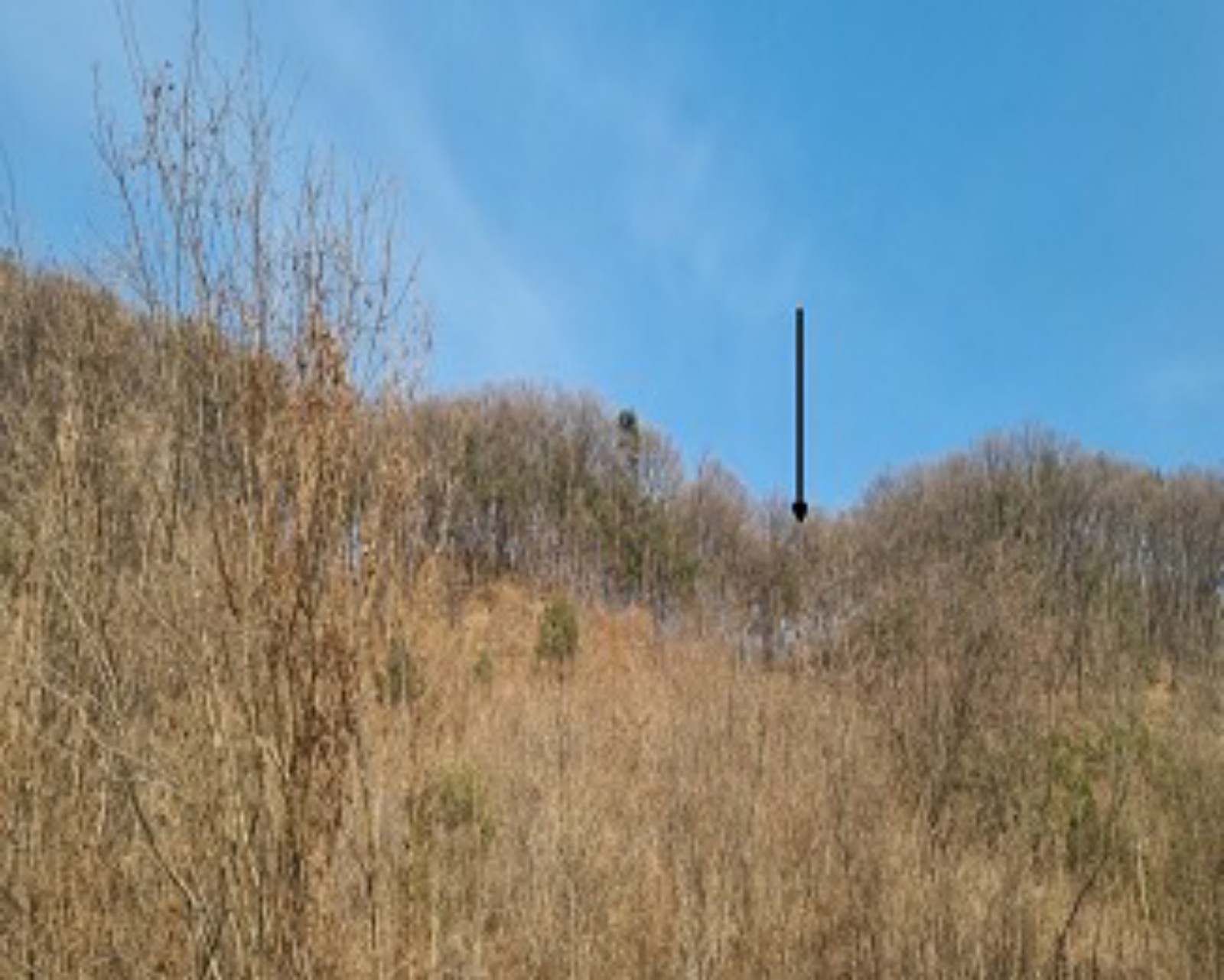 사진 1