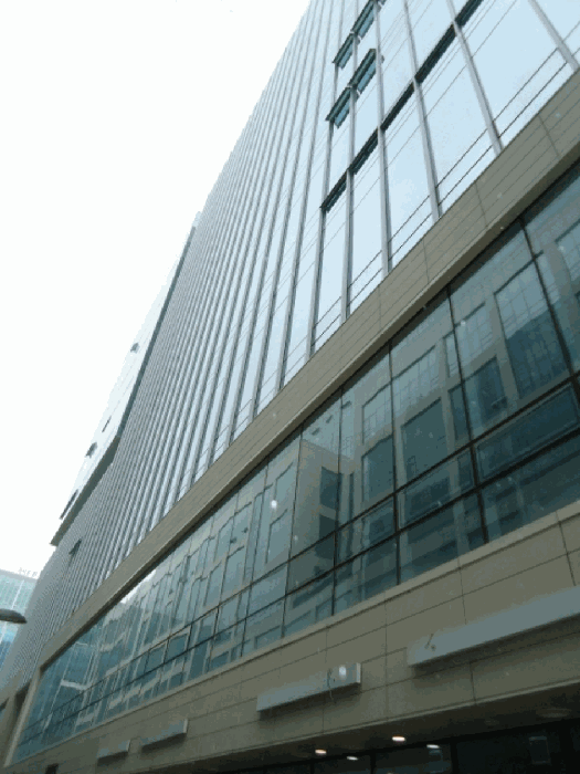사진 10