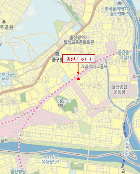 사진 5