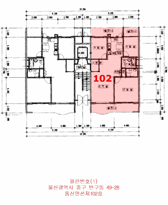 사진 8