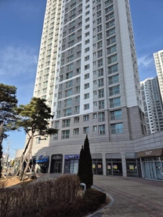 사진 5