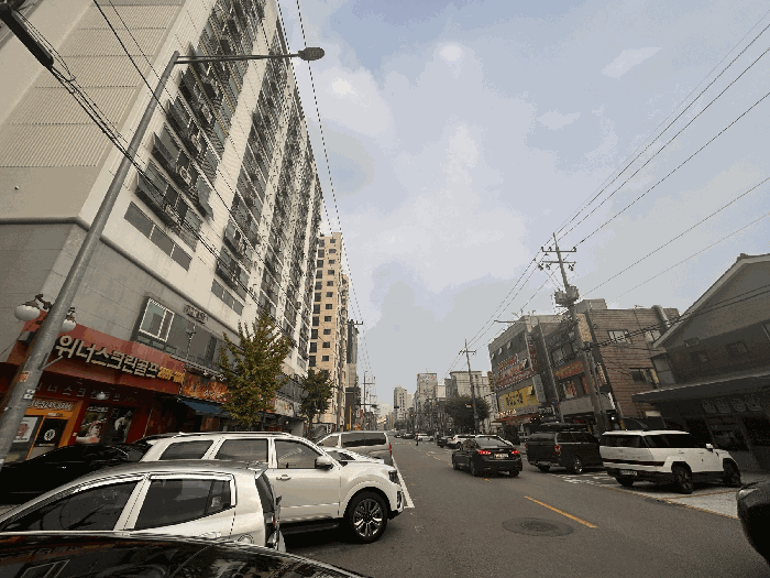 사진 12