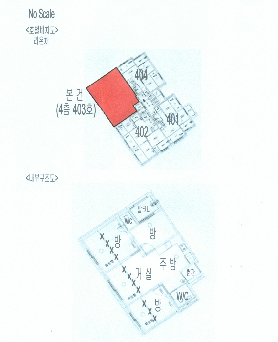 사진 12