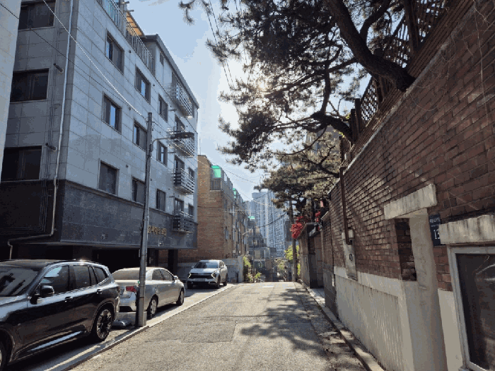 사진 2