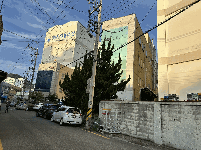사진 9