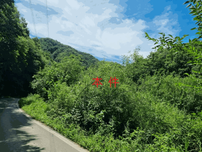 사진 1