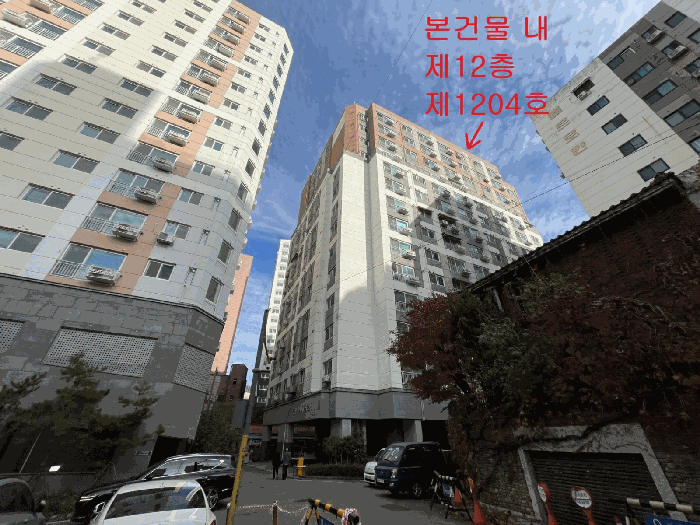 사진 5