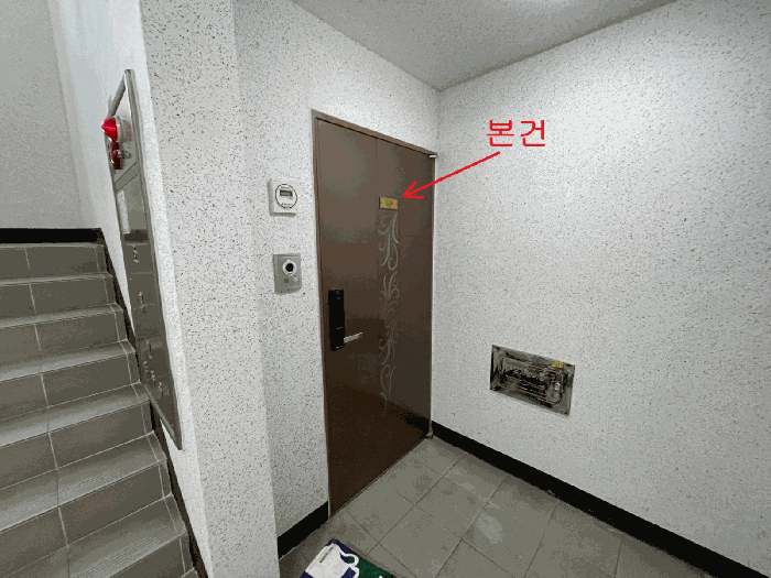 사진 7