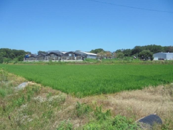 사진 14