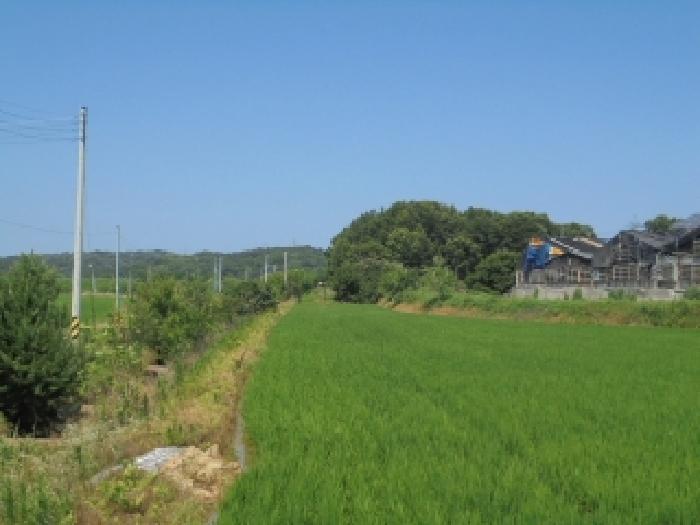 사진 15