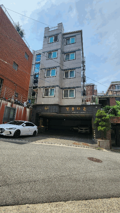 사진 12