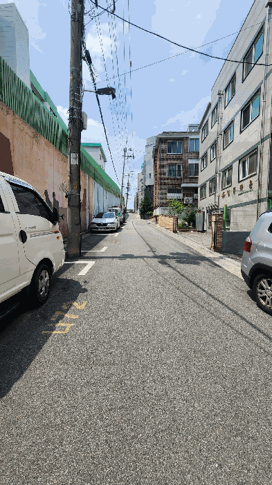 사진 5