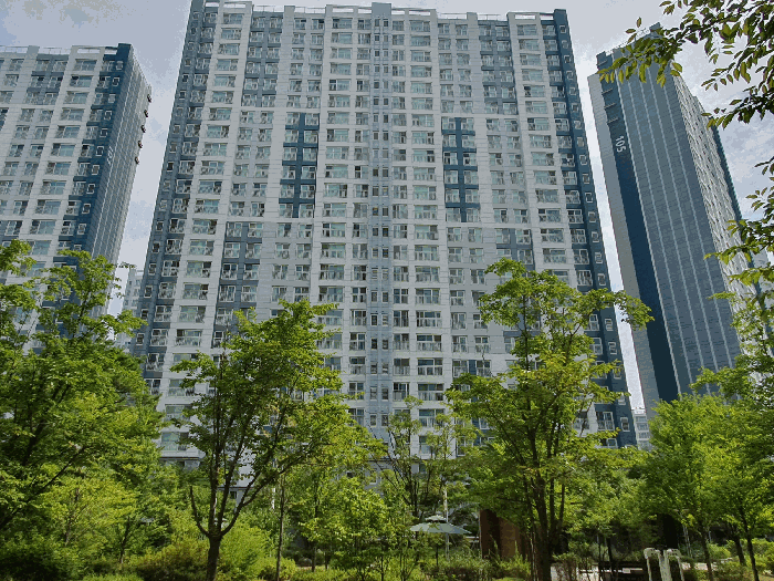 사진 10