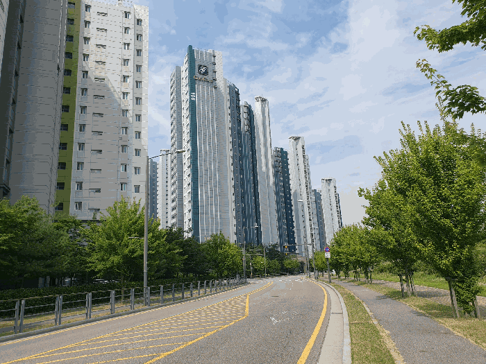 사진 6