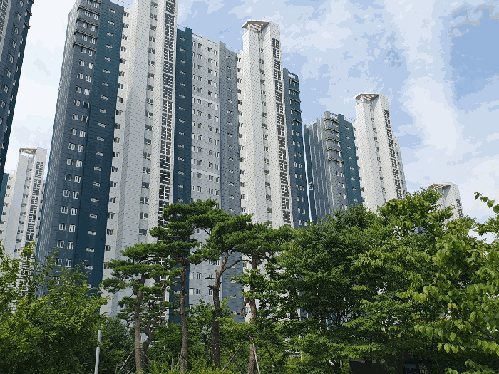 사진 8
