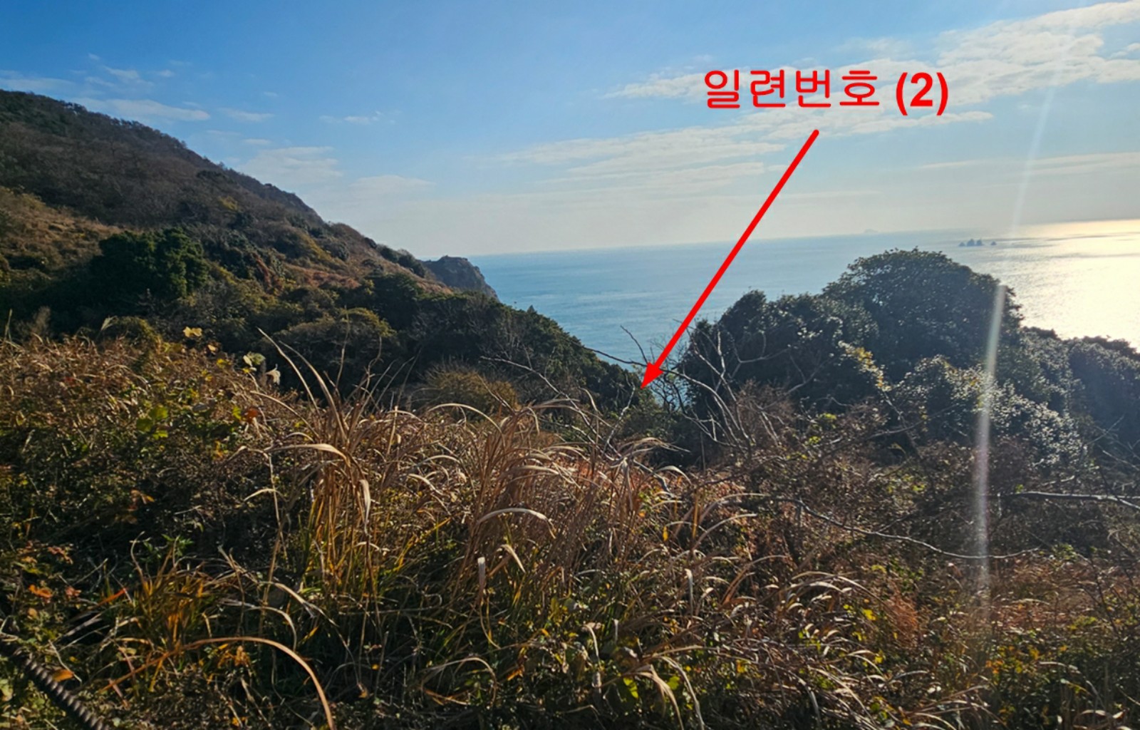 사진 1