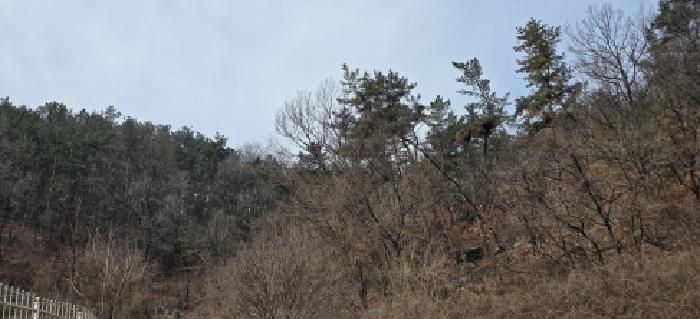 사진 3