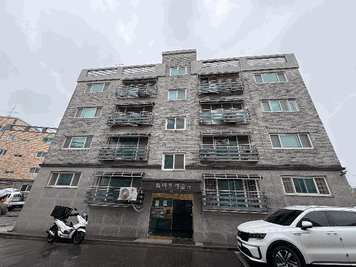 사진 10