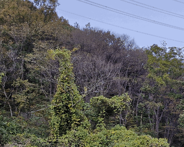 사진 10