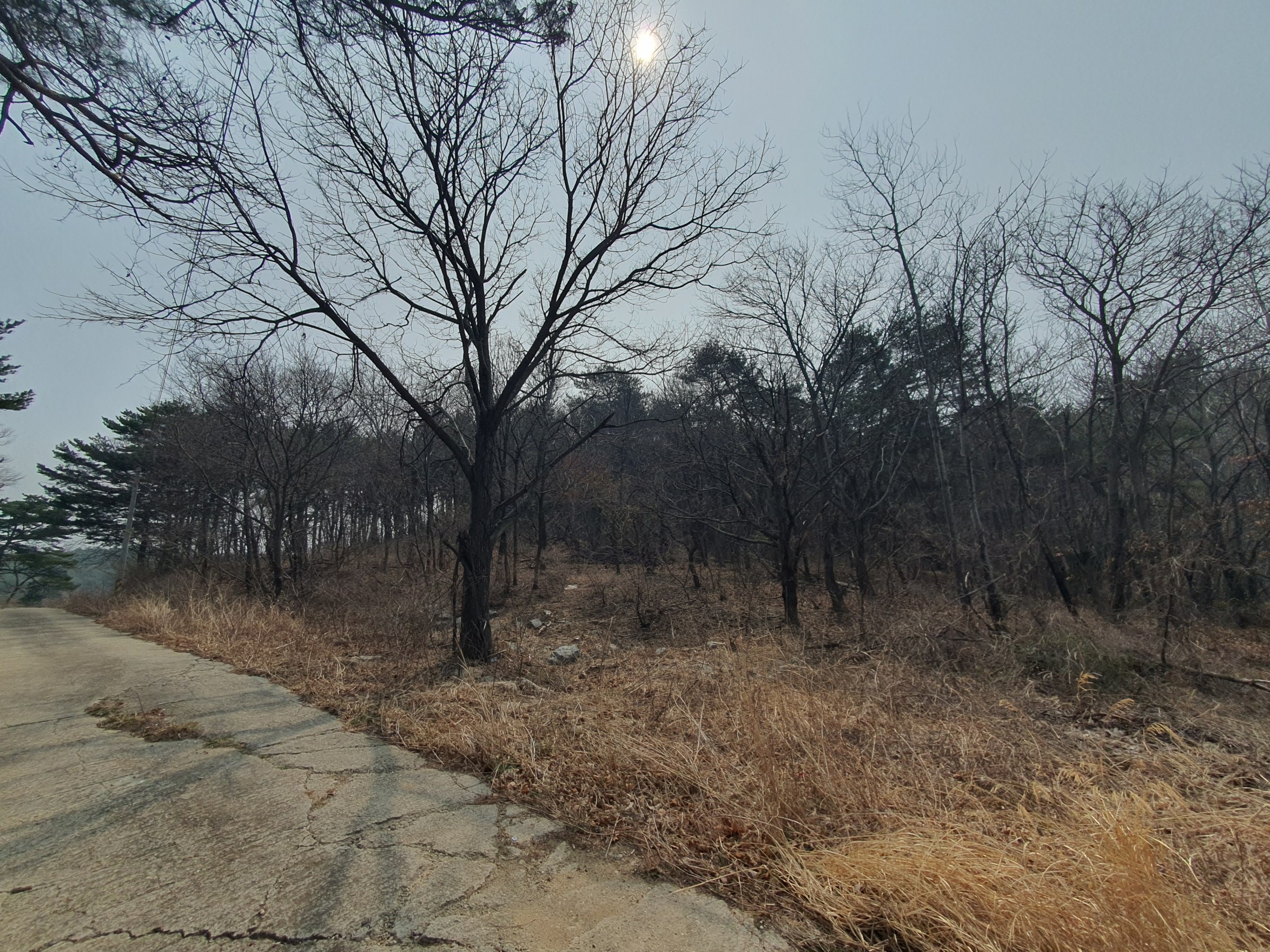 사진 1