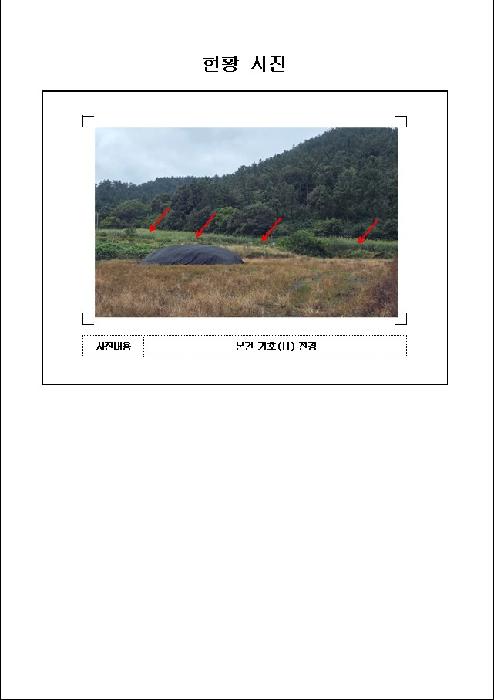 사진 10