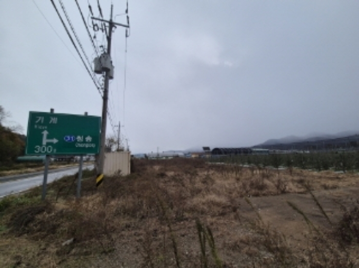 사진 2