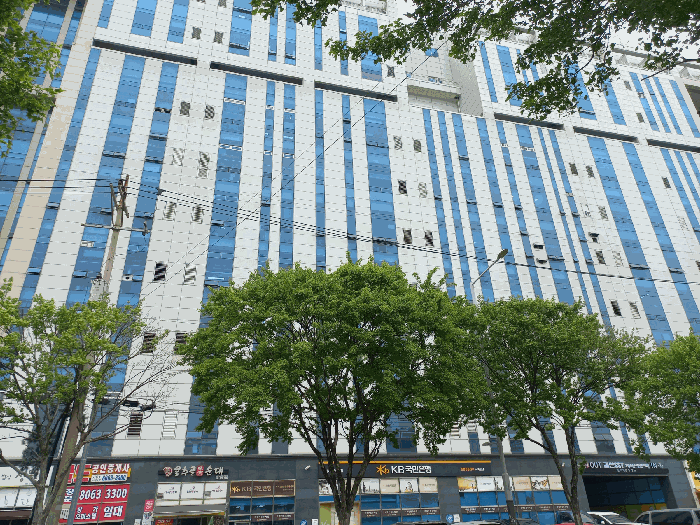 사진 6
