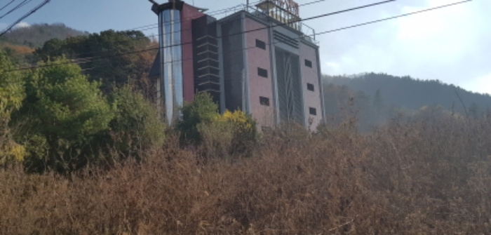 사진 2