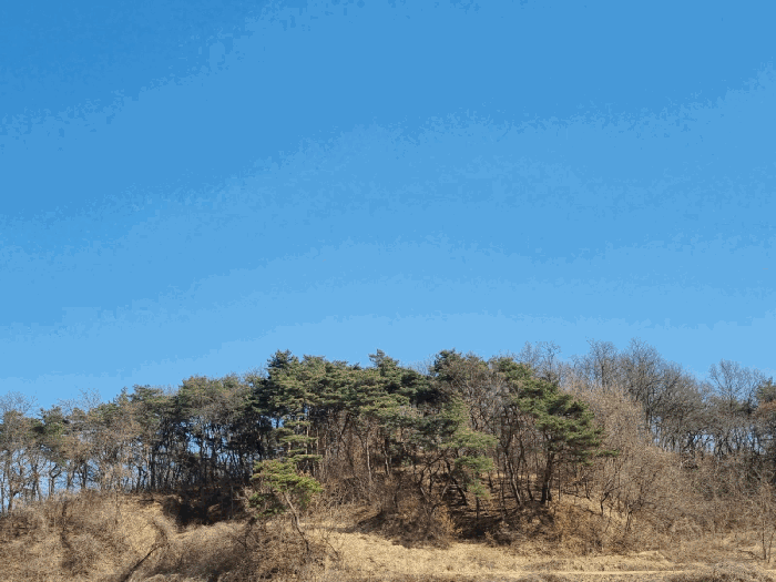 사진 7