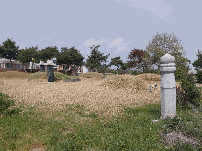 사진 6