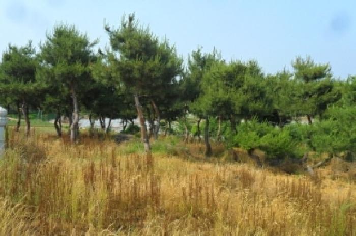 사진 9